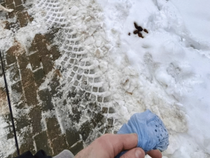 Rzeszów tonie w psich odchodach? Mieszkańcom puszczają nerwy na widok „Przebiśniegów”