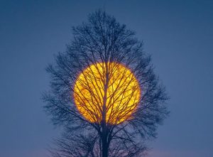 Z aparatem przez „małą ojczyznę”. Niezwykły rok w obiektywie Witolda Ochała