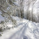 Zagrożenie lawinowe w Bieszczadach. BdPN ostrzega turystów