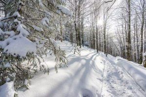 Zagrożenie lawinowe w Bieszczadach. BdPN ostrzega turystów