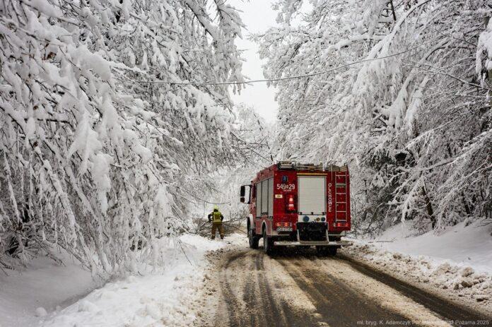 psp-polamane-drzewa-opady-sniegu-straz-pozarna Podkarpaccy strażacy interweniowali 1161 razy. Kolejne ostrzeżenia na niedzielę