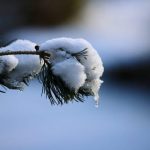 BdPN ostrzega. Trudne warunki na szlakach w Bieszczadach z powodu odwilży