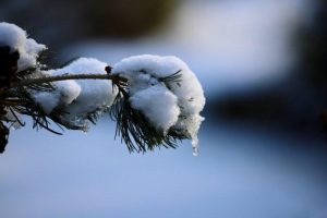 BdPN ostrzega. Trudne warunki na szlakach w Bieszczadach z powodu odwilży