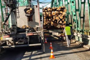 Kłody drewna spadły z ciężarówki i uszkodziły most. Groźne zdarzenie na DK77 [ZDJĘCIA]