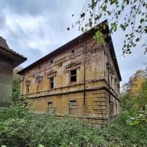 Perła architektoniczna szuka ratunku. Pałac można go kupić [ZDJĘCIA] 