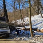 Spór ws. wycinki drzew na Lisiej Górze zażegnany? W planach wiosenna wizja terenowa