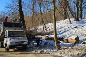 Spór ws. wycinki drzew na Lisiej Górze zażegnany? W planach wiosenna wizja terenowa