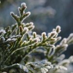 Alert IMGW dla Podkarpacia. Tej nocy temperatura mocno spadnie