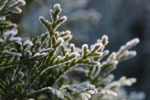 Alert IMGW dla Podkarpacia. Tej nocy temperatura mocno spadnie