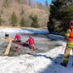 Dramatyczna akcja na stawie. Strażacy ratowali psa z lodowej pułapki