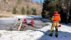 Dramatyczna akcja na stawie. Strażacy ratowali psa z lodowej pułapki
