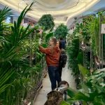 Galeria Rzeszów zamieni się w dżunglę. Wiosenne Targi Roślin i kwiat dla każdej Pani