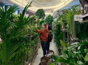 Galeria Rzeszów zamieni się w dżunglę. Wiosenne Targi Roślin i kwiat dla każdej Pani