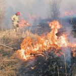 Mnóstwo pracy straży pożarnej. Plaga celowych podpaleń