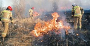 Mnóstwo pracy straży pożarnej. Plaga celowych podpaleń