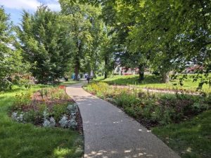 „Park Przyszłości” na deskach kreślarskich. Rzeszów pyta mieszkańców o zdanie