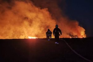 Podkarpacie w ogniu. Ponad 200 pożarów w jeden weekend, strażacy biją na alarm [ZDJĘCIA, WIDEO]