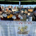 Podkarpacki Bazarek w Rzeszowie 2026. Park Papieski znów wypełni się przysmakami