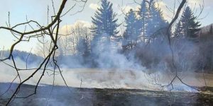 Pół hektara spalonej ziemi w Bystrem. Policja szuka podpalacza