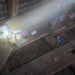 Ponad 60 kg narkotyków w domu pod Łańcutem. Trop sięgał aż do Hiszpanii [WIDEO, ZDJĘCIA]