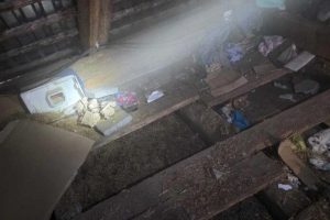 Ponad 60 kg narkotyków w domu pod Łańcutem. Trop sięgał aż do Hiszpanii [WIDEO, ZDJĘCIA]