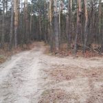 Quady niszczą szlaki, a psy czekają na ratunek przywiązane do drzew. Trudna wiosna na Podkarpaciu