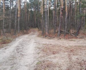 Quady niszczą szlaki, a psy czekają na ratunek przywiązane do drzew. Trudna wiosna na Podkarpaciu