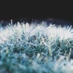 Uwaga, na Podkarpacie wraca mróz! Temperatura spadnie do -6 stopni