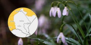 Wyjątkowa sytuacja pogodowa. Podkarpacie „białą wyspą” na mroźnej mapie Polski