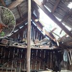 750 odbiorców bez prądu i 119 interwencji strażaków po wichurach