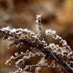 Alert I stopnia dla województwa podkarpackiego. Temperatura nas zaskoczy