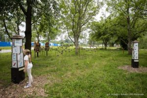 Baranówka jeszcze piękniejsza! Rusza kolejny etap tworzenia nowej strefy relaksu