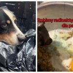 Bulwersująca sprawa. Internauci poszukują dziecka, które na TikToku znęca się nad psem