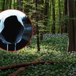 Był już karany i znowu to zrobił. 38-latek aresztowany za napaść na tle seksualnym