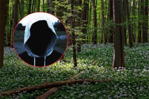 Był już karany i znowu to zrobił. 38-latek aresztowany za napaść na tle seksualnym