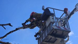 Drzewa na drogach i uszkodzone dachy. Strażacy walczą ze skutkami silnego wiatru