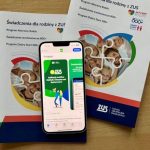 Gdzie na Podkarpaciu mieszka najwięcej beneficjentów 800 plus?