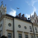 Ilu urzędników naprawdę potrzebuje Rzeszów? „Efekt Fijołka” na tle kraju