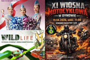 Imprezowy weekend w Rzeszowie i na Podkarpaciu. Sprawdźcie rozkład jazdy [ZAPOWIEDZI]