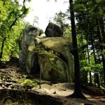 Makabryczne odkrycie w rezerwacie przyrody. Ciało mieszkańca Rzeszowa miało ranę postrzałową