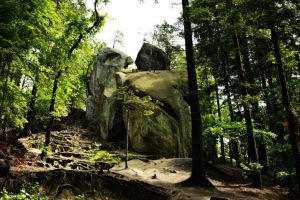 Makabryczne odkrycie w rezerwacie przyrody. Ciało mieszkańca Rzeszowa miało ranę postrzałową