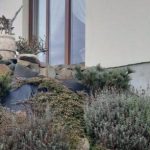 "Małą retencja" popularna w Rzeszowie. 130 właścicieli domów jednorodzinnych z dotacją