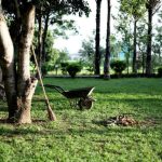 Oferta pracy: Pracownik gospodarczy w Zaczerniu