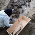 Partyzanci znalezieni w podkarpackim lesie doczekają się pochówku. Zginęli z rąk Niemców [ZDJĘCIA]