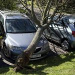 Skutki wichury w Rzeszowie. Drzewo przygniotło samochód