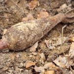 Śmiertelne niebezpieczeństwo ukryte w ziemi. Granat był tuż przy domu [ZDJĘCIA]