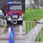 Substancja ropopochodna w cieku wodnym na Bulwarach. Interweniowały służby