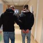 Tymczasowy areszt dla seryjnych podpalaczy lasu. Grozi im 10 lat więzienia