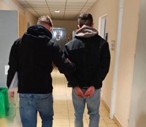 Tymczasowy areszt dla seryjnych podpalaczy lasu. Grozi im 10 lat więzienia