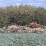 Wojna o odpady w rzeszowskim Budziwoju. „Wyglancowane ogródki, a za płotem syf”